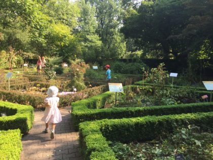University of Warsaw Botanic Garden with children, attractions for kids, education paths