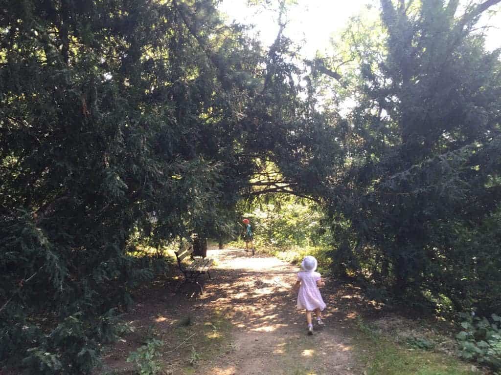 University of Warsaw Botanic Garden with children, attractions for kids, paths in the summer time