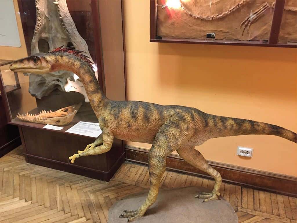 Natural History Museum (Museum of Evolution) in Warsaw - attractions for kids