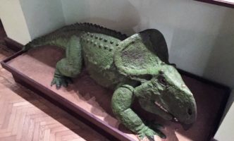 IMG_4826