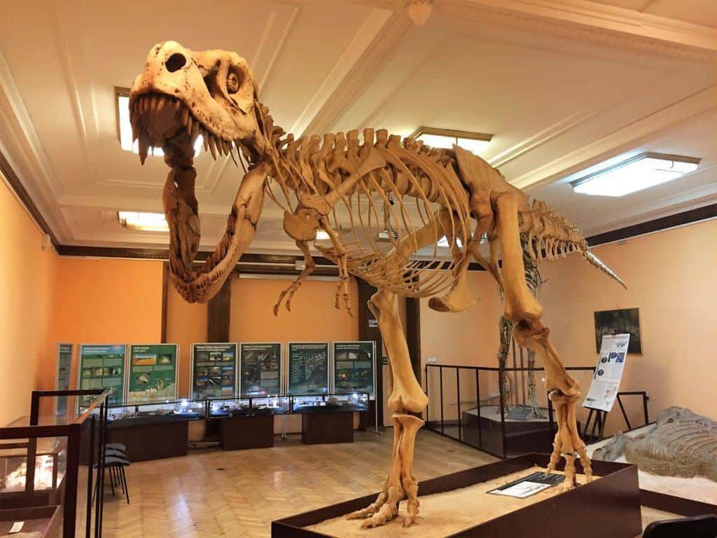 Natural History Museum (Museum of Evolution) in Warsaw - attractions for kids - dinosaur