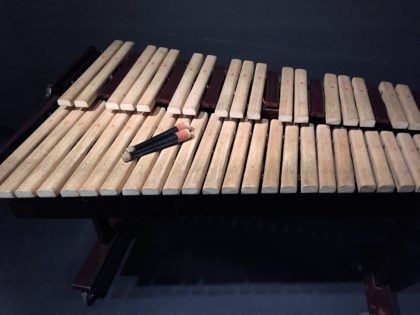 Museum of Asia and the Pacific in Warsaw - “Zone of Sounds” exhibition - you can play on this instrument