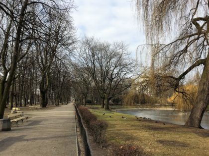 Saxon Garden in Warsaw, Ogrod Saski, pond