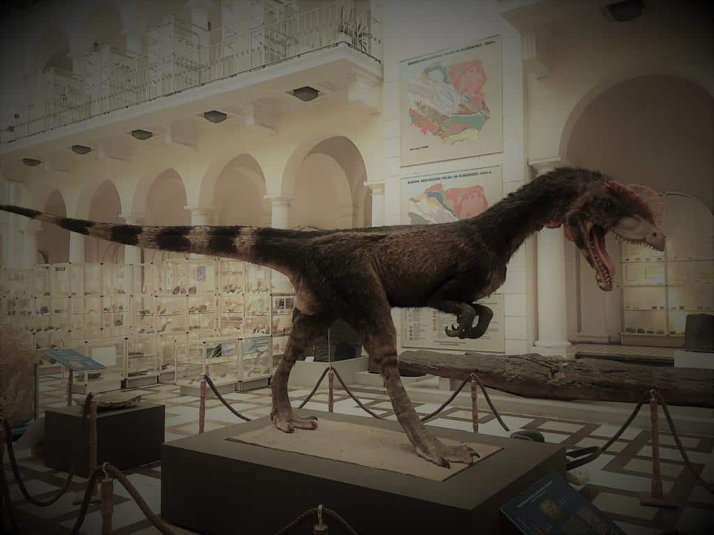 Geological Museum in Warsaw