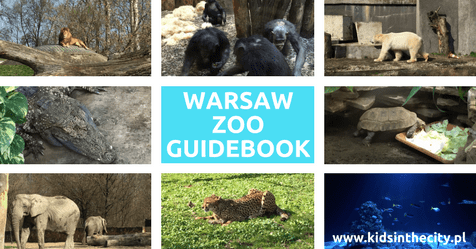 Warsaw Zoo, Zoo in Warsaw