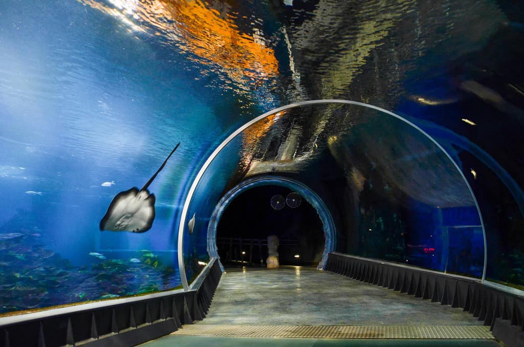 Zoo and Oceanarium in Wroclaw