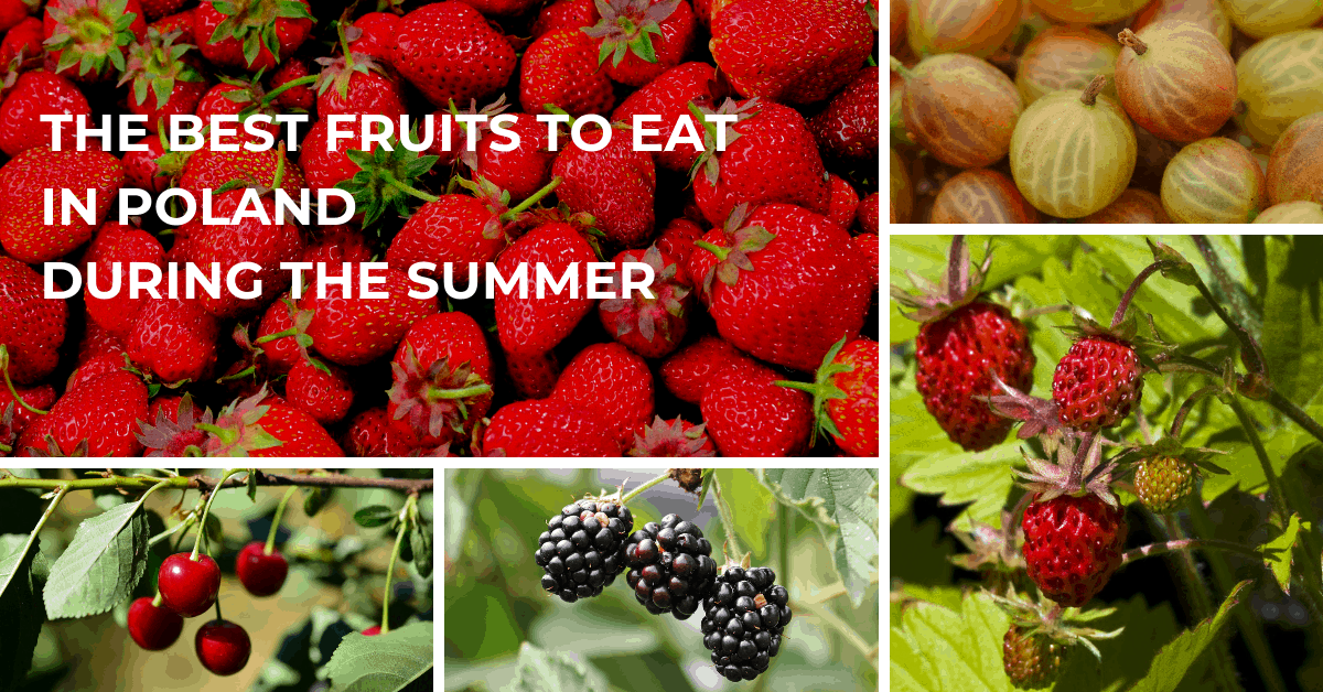 Summer fruits in Poland