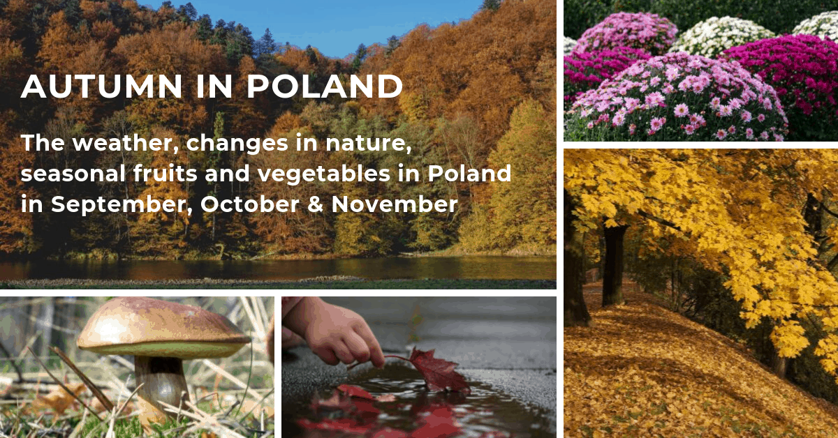 Autumn in Poland