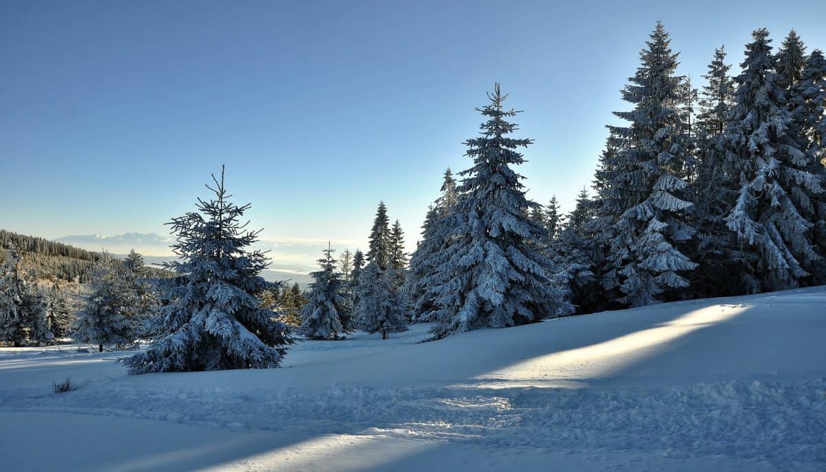 weather-in-poland-in-december-january-february-kids-in-the-city