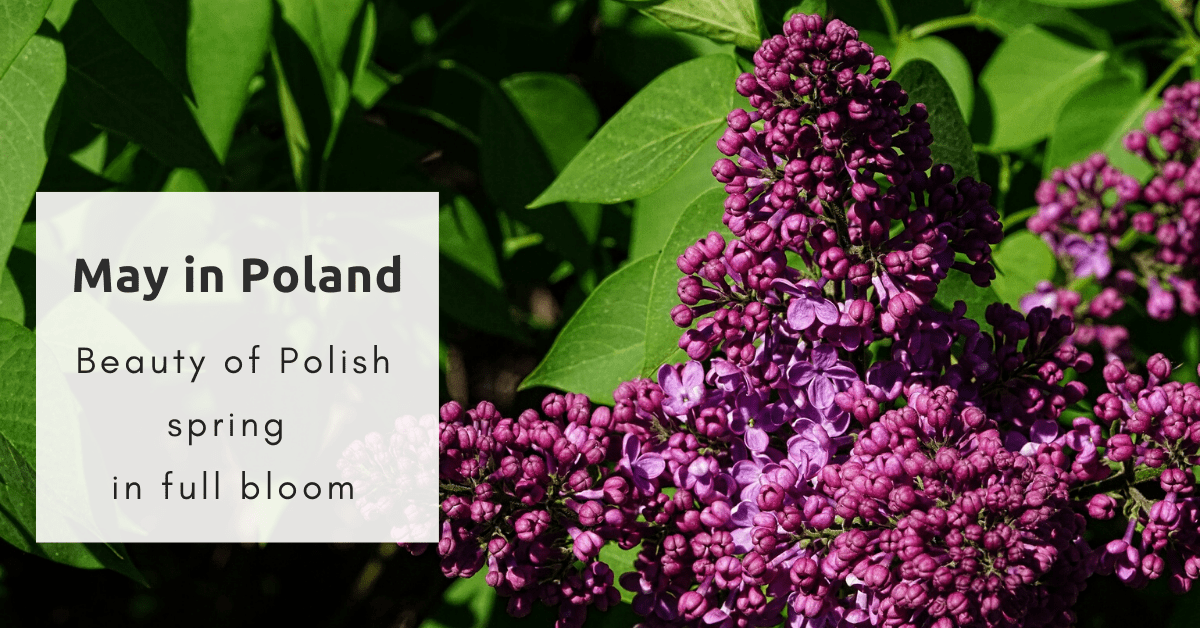 May in Poland
