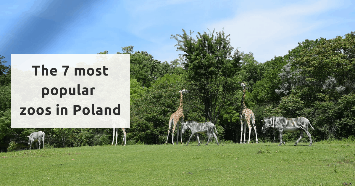7 most popular zoos in Poland
