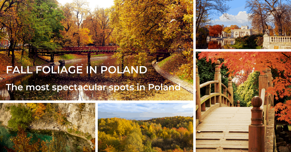 fall foliage spots in Poland